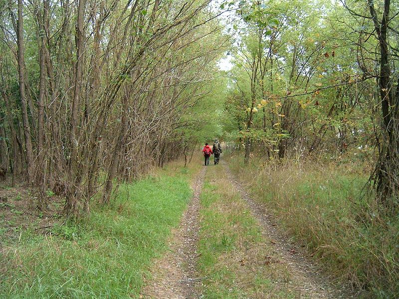 2010.10.10. 026.jpg